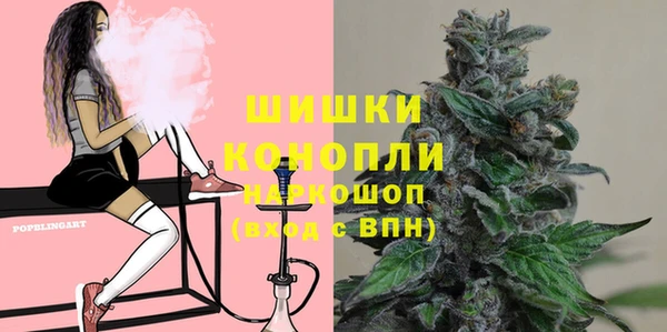 меф Арсеньев
